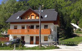 Apartment Brina